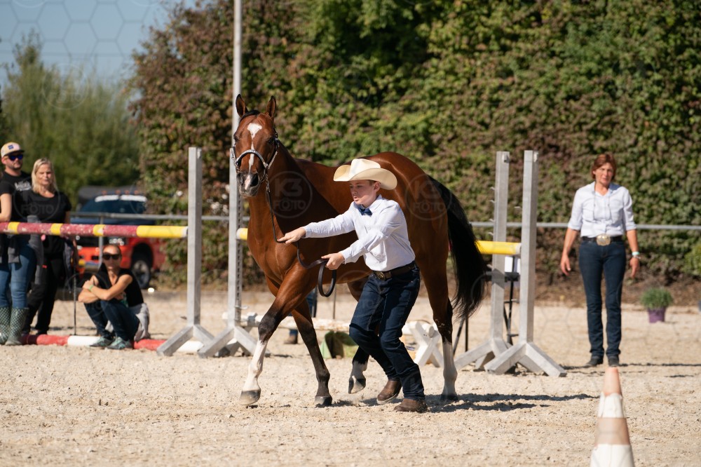 s_b_A_907570.jpg